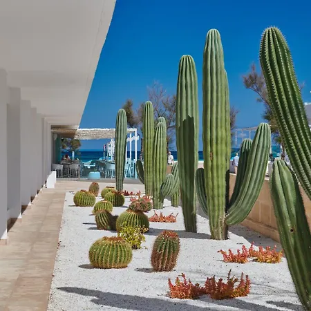 The Sea By Grupotel - Adults Only Hotell 4*