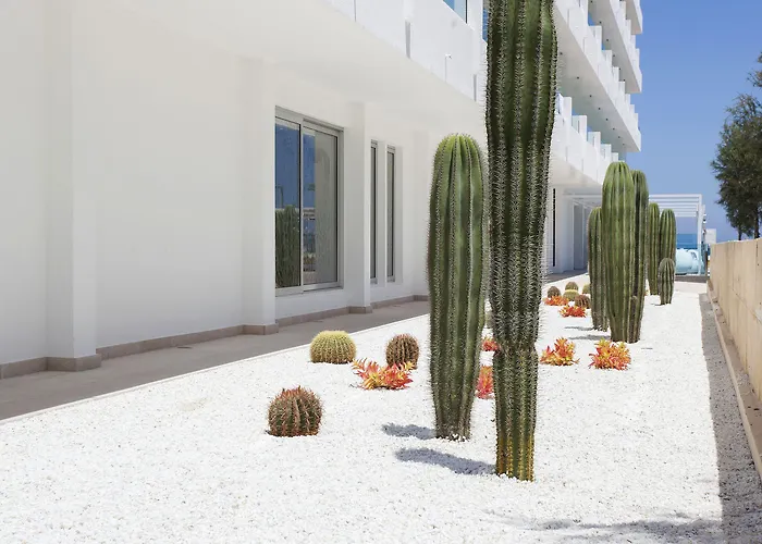 فندق The Sea By Grupotel - Adults Only