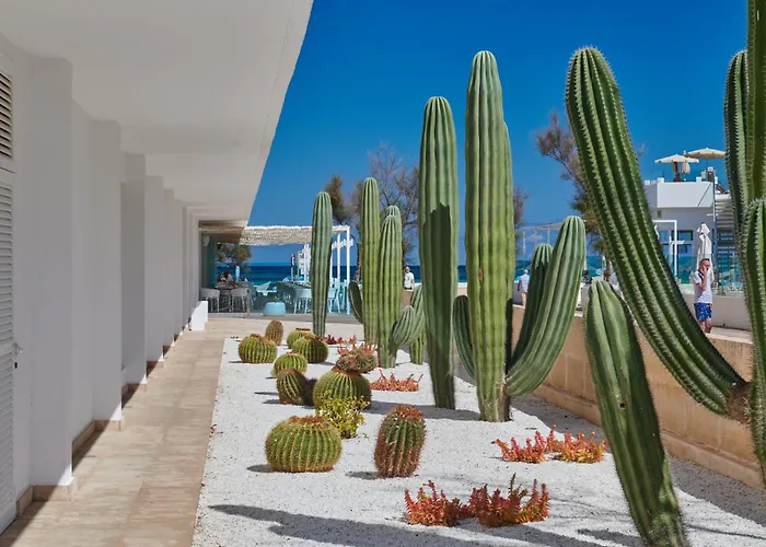 The Sea By Grupotel - Adults Only Hotel 4*